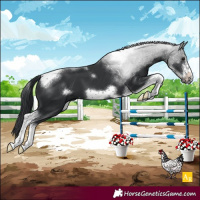 Horse Color:Black Tobiano Frame 