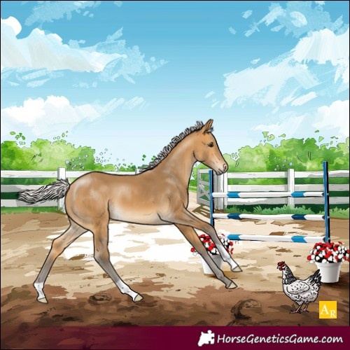 Horse Color:Silver Buckskin 