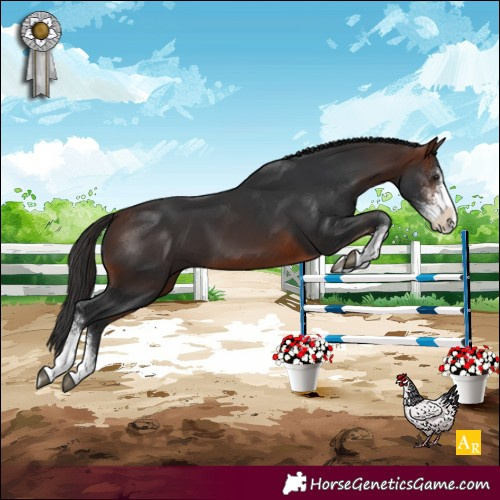 Horse Color:Brown Sabino