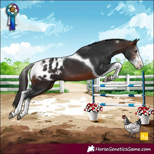 Horse Color:Brown Sabino Tobiano Appaloosa