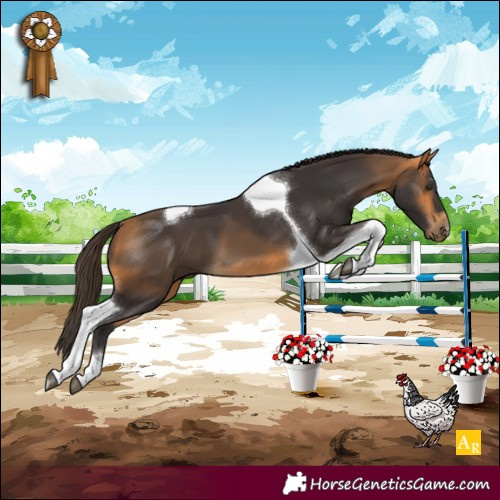Horse Color:Buckskin Tobiano