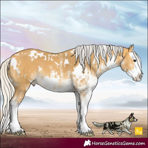 Horse Color:White Spotted Silver Buckskin Splash 