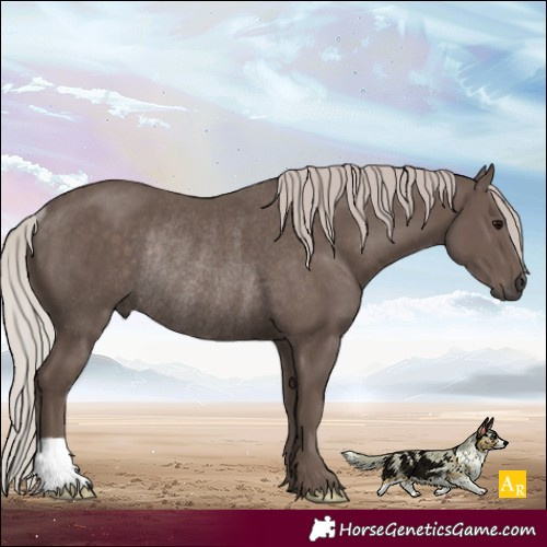 Horse Color:Silver Black Rabicano