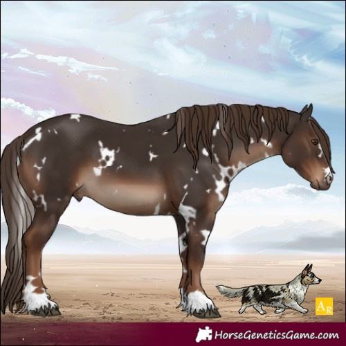 Horse Color:White Spotted Liver Chestnut