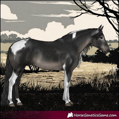 Horse Color:Gray Black Tobiano Rabicano