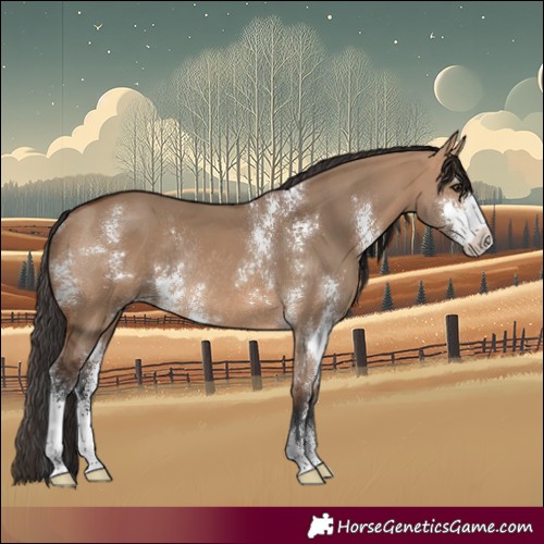Horse Color:Bay Dun Sabino Rabicano