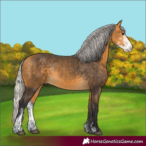 Horse Color:Silver Buckskin Sabino Rabicano