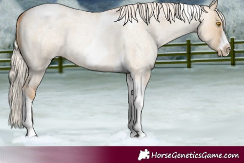 Horse Color:Silver Grullo Roan Pearl Tobiano Frame 