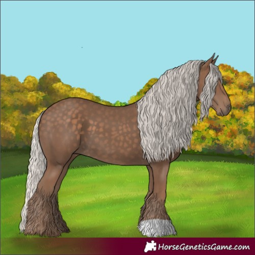 Horse Color:Silver Black 