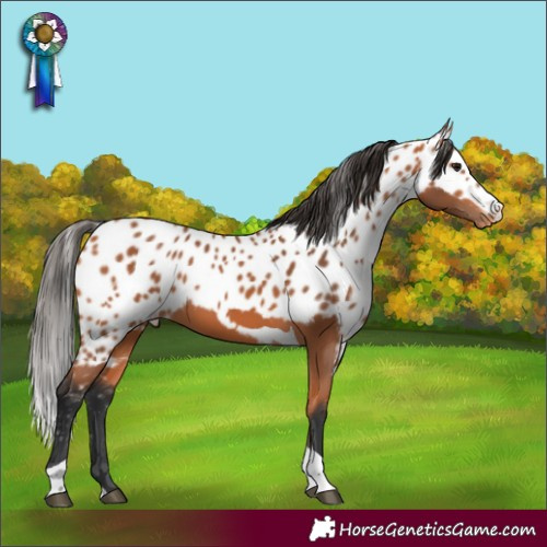 Horse Color:Bay Tobiano Skewed LP Spotted