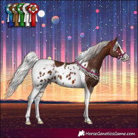 Horse Color:Silver Bay Splash Tobiano Skewed LP Spotted