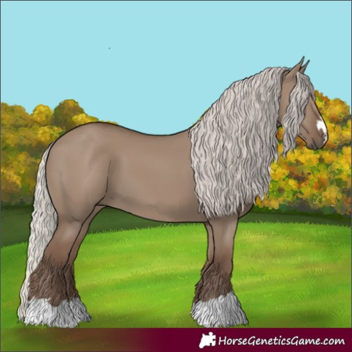 Horse Color:Silver Grullo
