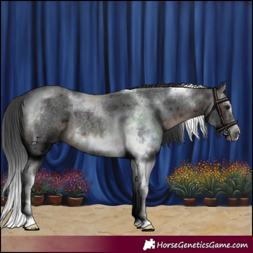 Horse Color:Brown Roan Splash Tobiano Frame