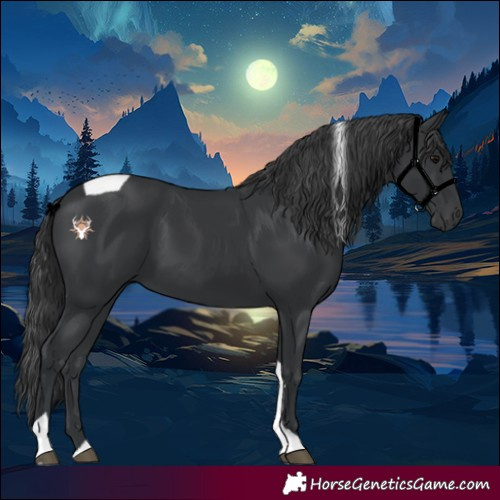 Horse Color:Black Tobiano 
