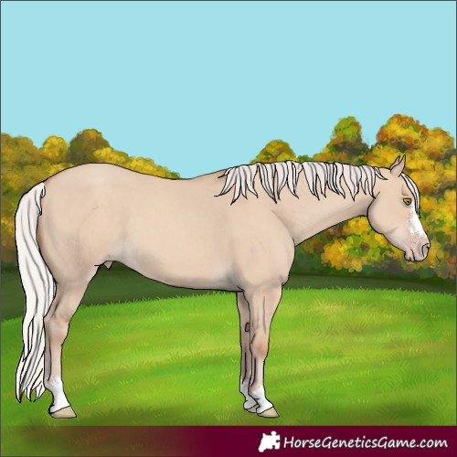 Horse Color:Silver Classic Champagne Dun