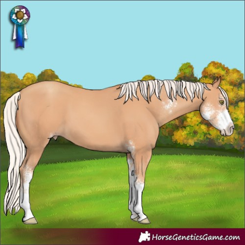 Horse Color:Silver Amber Champagne Sabino