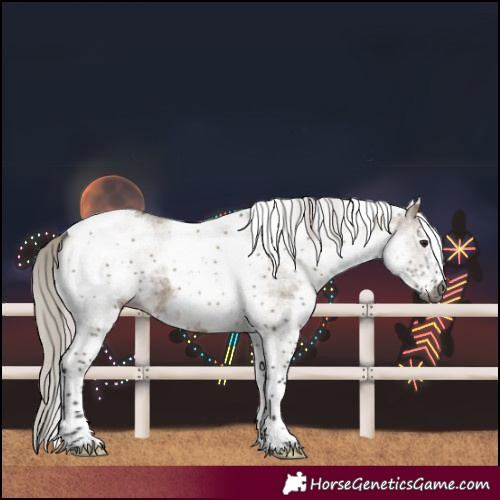 Horse Color:Gray White Spotted Silver Brown Dun Tobiano