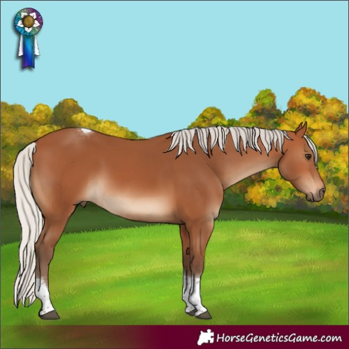 Horse Color:Silver Bay Tobiano Rabicano 
