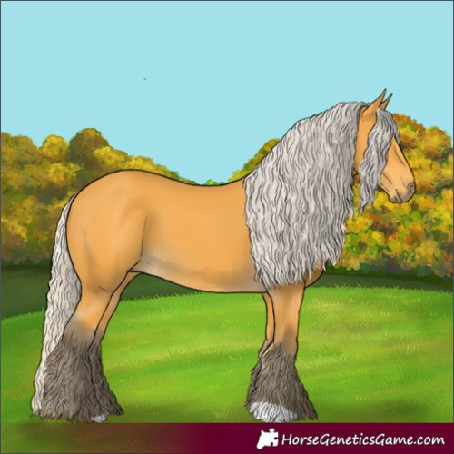 Horse Color:Silver Buckskin 