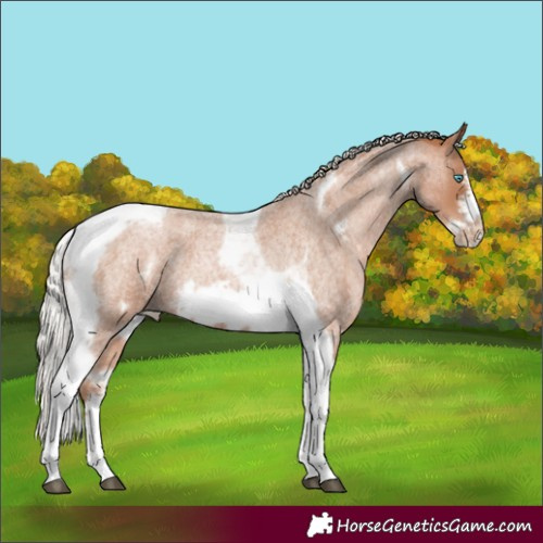 Horse Color:Silver Blue Roan Pearl Tobiano Frame