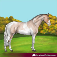 Horse Color:Silver Blue Roan Pearl Tobiano Frame 