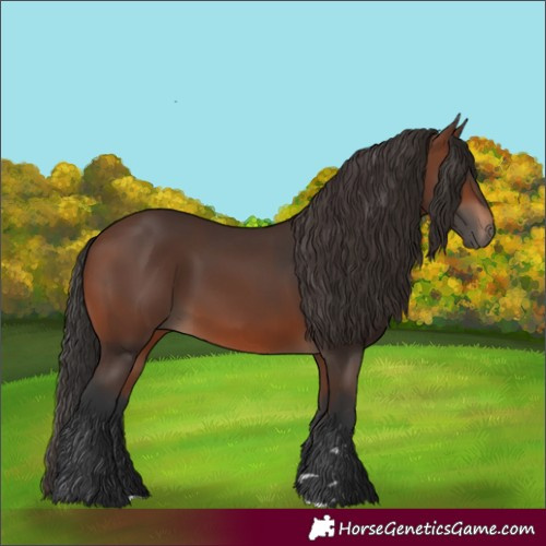 Horse Color:Brown 
