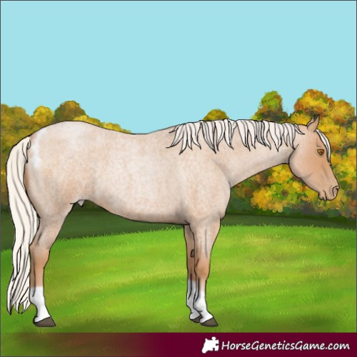 Horse Color:Silver Blue Roan Pearl Tobiano Frame 