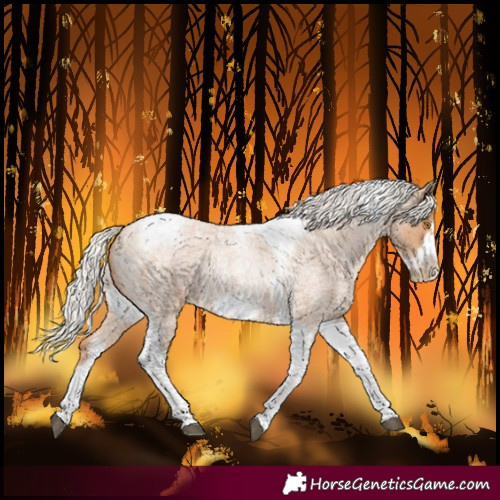 Horse Color:Silver Blue Roan Pearl Tobiano Frame