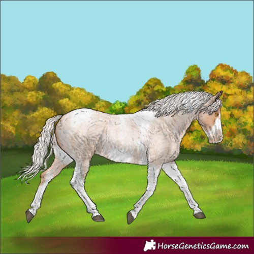Horse Color:Silver Blue Roan Pearl Tobiano Frame