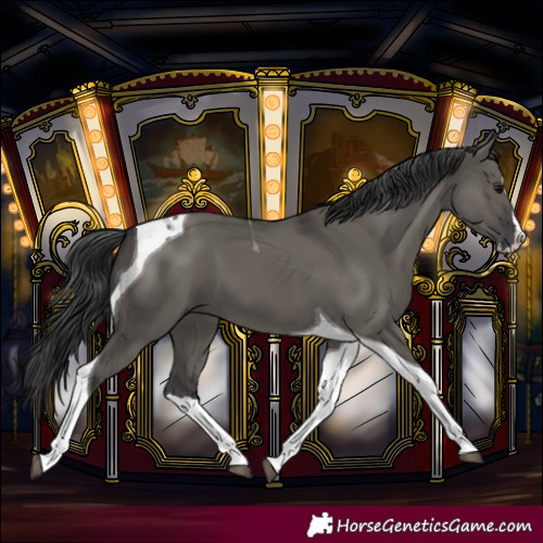Horse Color:Grullo Splash Tobiano