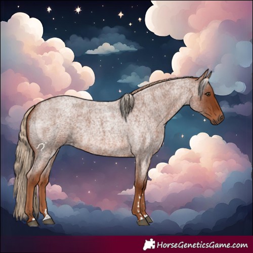 Horse Color:Red Roan 