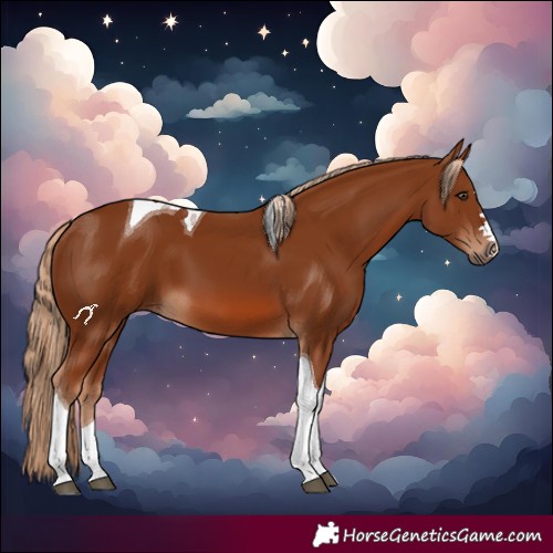 Horse Color:Chestnut Tobiano 
