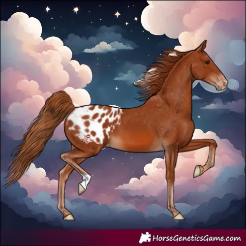 Horse Color:Chestnut Varnish