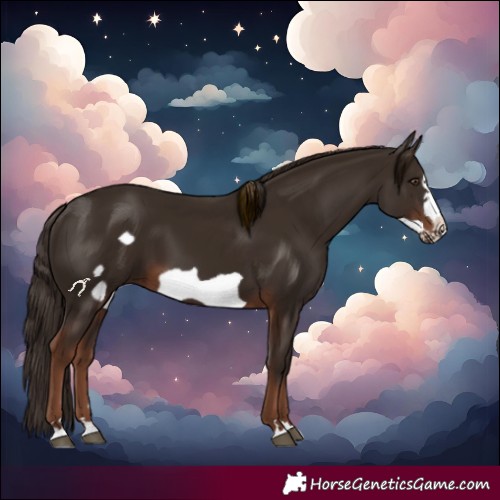 Horse Color:Liver Chestnut Frame