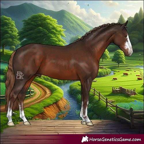 Horse Color:Liver Chestnut 