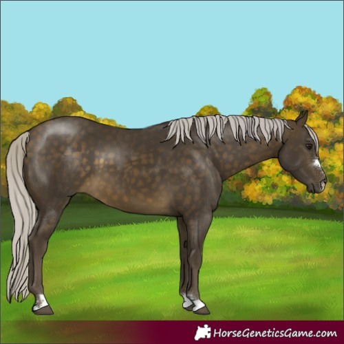 Horse Color:Silver Buckskin