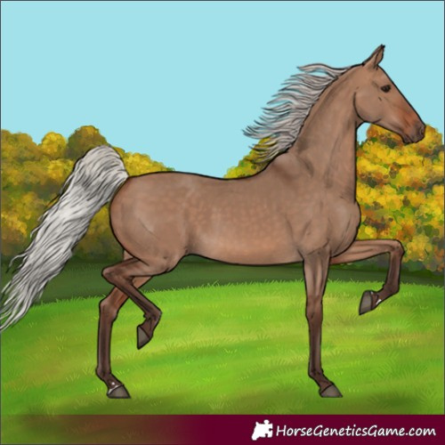 Horse Color:Silver Brown Dun 