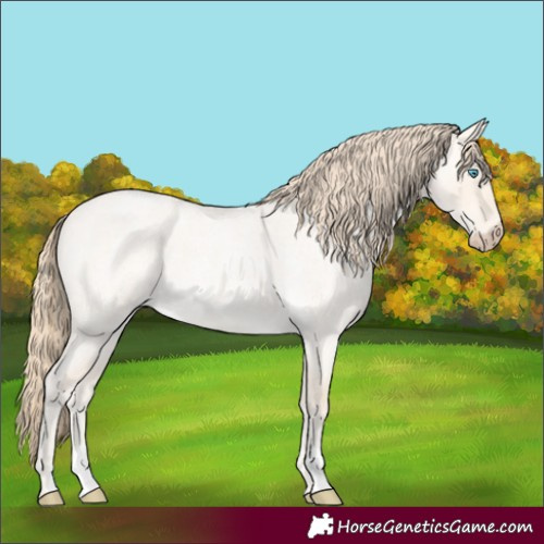 Horse Color:Perlino Roan Dun