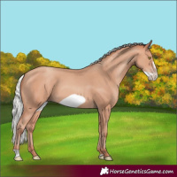Horse Color:Silver Amber Champagne Frame