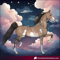 Horse Color:Brown Dun Sabino Frame 