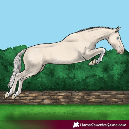 Horse Color:Cremello Tobiano 