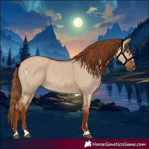 Horse Color:Red Dun