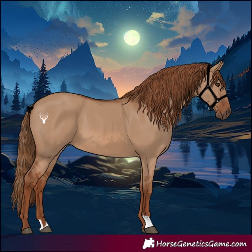 Horse Color:Red Dun 