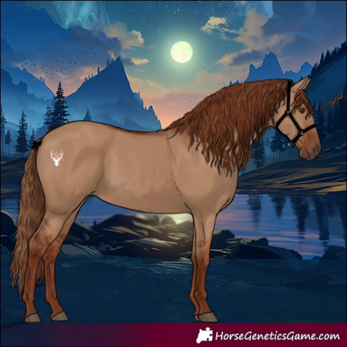 Horse Color:Red Dun
