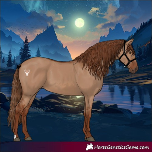 Horse Color:Red Dun 