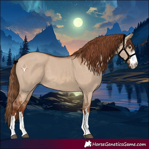 Horse Color:Red Dun 