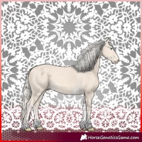 Horse Color:Cremello Tobiano