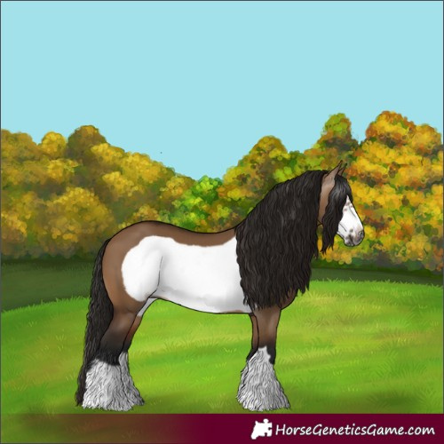 Horse Color:Gray Bay Dun Frame