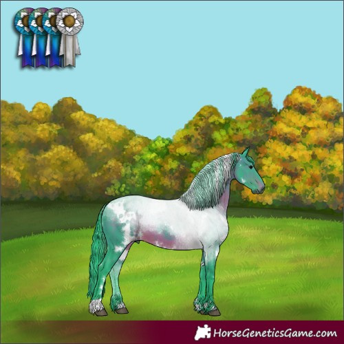 Horse Color:Gray Watercolor White Spotted Brown