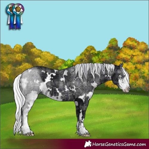 Horse Color:Plaid White Spotted Silver Brown Chinchilla Ice Sabino